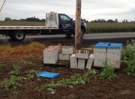  Vandalism to bee hives; photo by Dewey M. Caron
